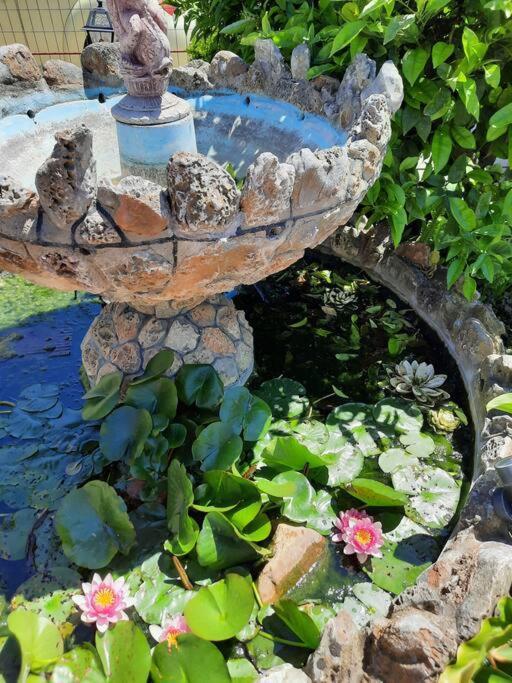 Casa Olena Villa Nea Poteidaia Exteriör bild